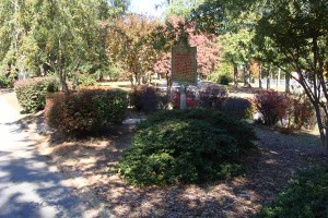 Confederate Camp Milner - Georgia Historical Society