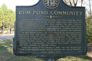 Gum Pond Community