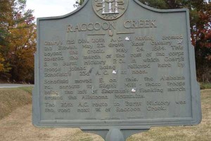 Raccoon Creek