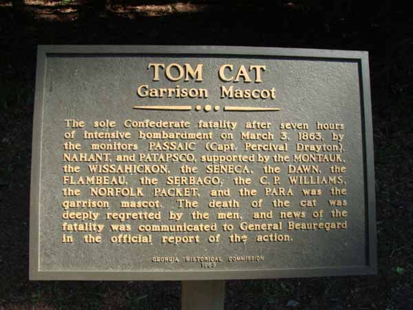 Tom Cat: Garrison Mascot