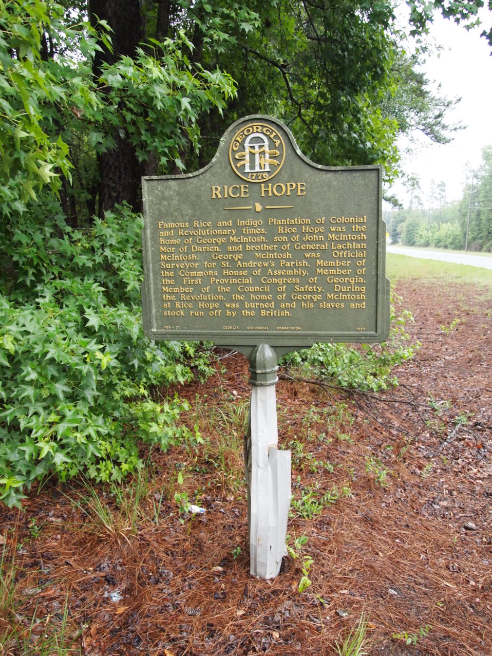 Rice Hope - Georgia Historical Society