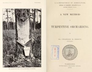 "A New Method of Turpentine Orcharding," 1903. Washington, D.C.: U.S. Dept. of Agriculture, Bureau of Forestry. 