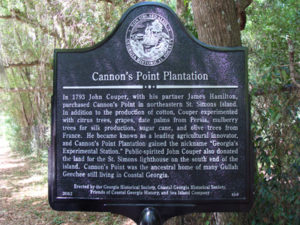 Cannons-point-plantation