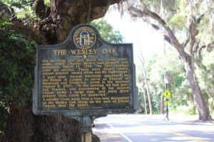 The Wesley Oak