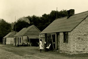 African-American Life and Culture in the Lowcountry