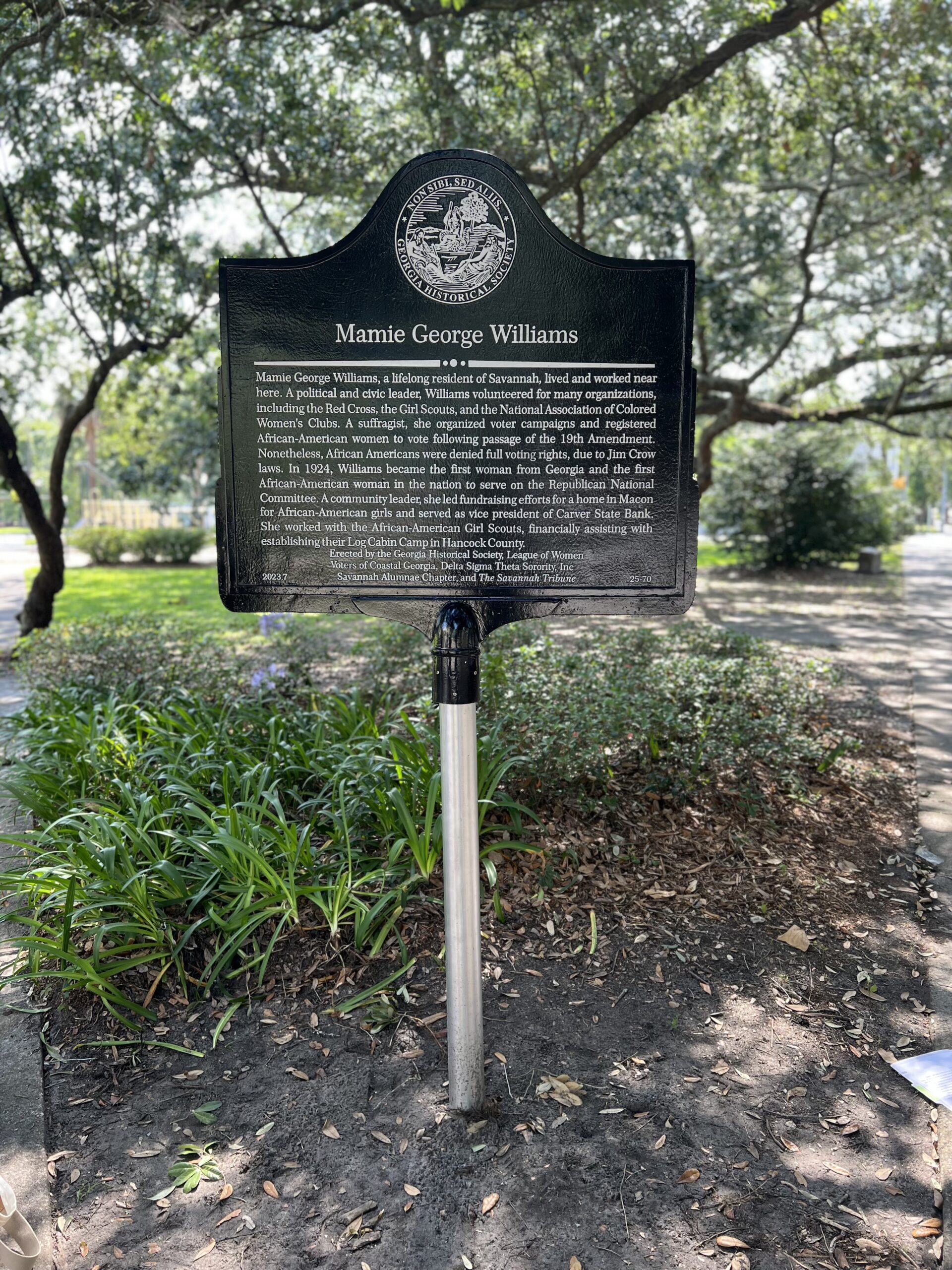 Mamie George Williams - Georgia Historical Society