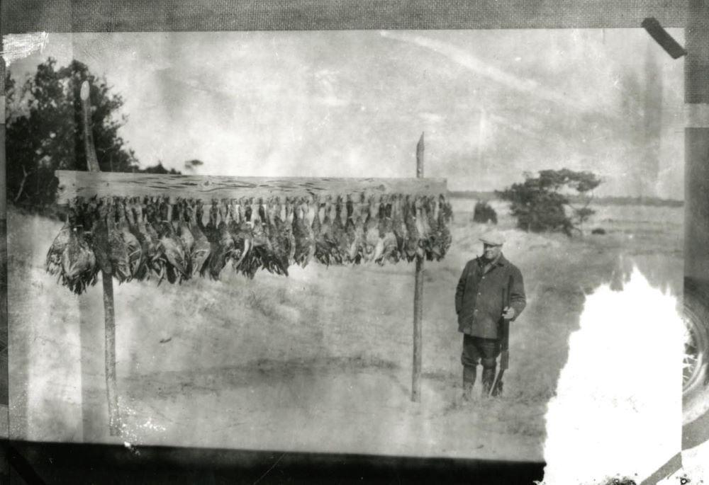 10. Hunter posing with game, ducks on, possibly, Ossabaw Island, undated. MS 1360 Foltz Photography Studio photographs. Courtesy of the Georgia Historical Society. 